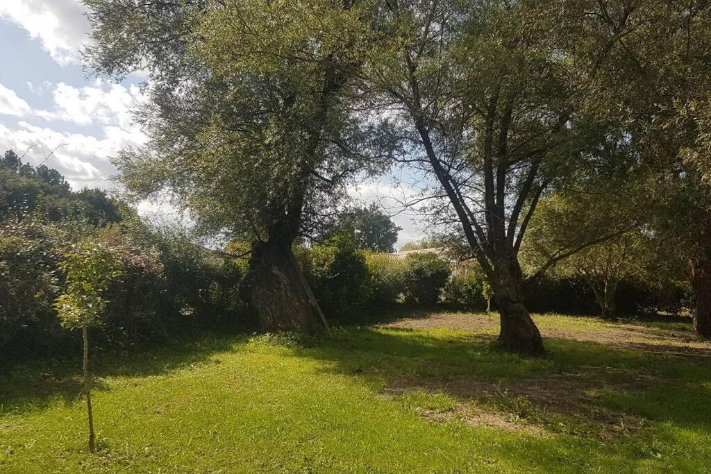 Demeure En Pierre Avec Piscine Privee Villa Etauliers Екстериор снимка