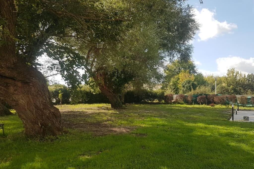 Demeure En Pierre Avec Piscine Privee Villa Etauliers Екстериор снимка